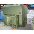 Y, Ykk, Yks, Y2 Series Medium/Large Size High Voltage AC Motor